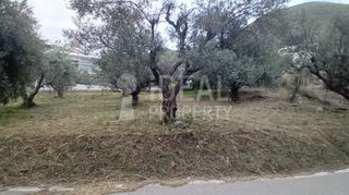 Οικόπεδο 500 τ.μ. προς πώληση, Σαραβάλι-thumb-6