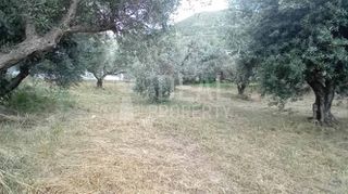 Οικόπεδο 500 τ.μ. προς πώληση, Σαραβάλι-thumb-1