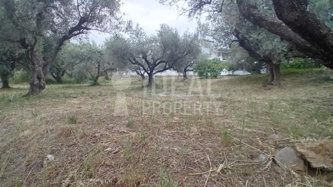Οικόπεδο 500 τ.μ. προς πώληση, Σαραβάλι