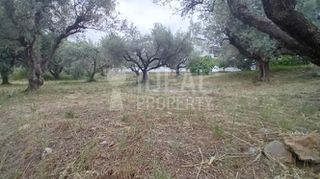 Οικόπεδο 500 τ.μ. προς πώληση, Σαραβάλι-thumb-2