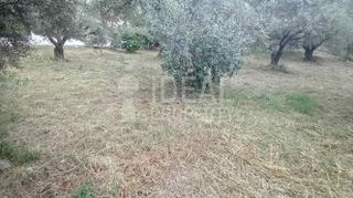 Οικόπεδο 500 τ.μ. προς πώληση, Σαραβάλι-thumb-9