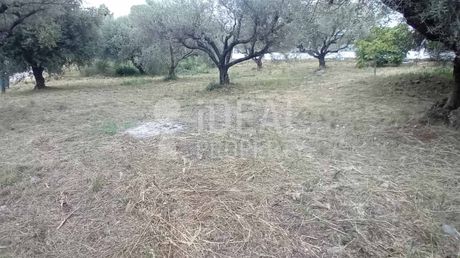 Οικόπεδο 500 τ.μ. προς πώληση
