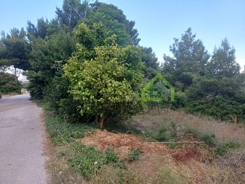 Οικόπεδο 660 τ.μ. πρός πώληση, Αθήνα - Ανατολικά Προάστια, Αρτέμιδα (λούτσα)
