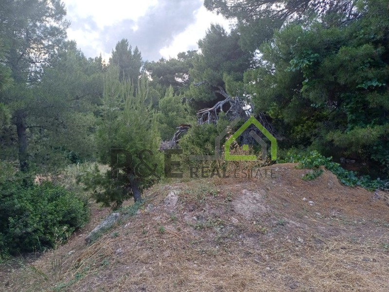 Οικόπεδο 660 τ.μ. πρός πώληση, Αθήνα - Ανατολικά Προάστια, Αρτέμιδα (λούτσα)