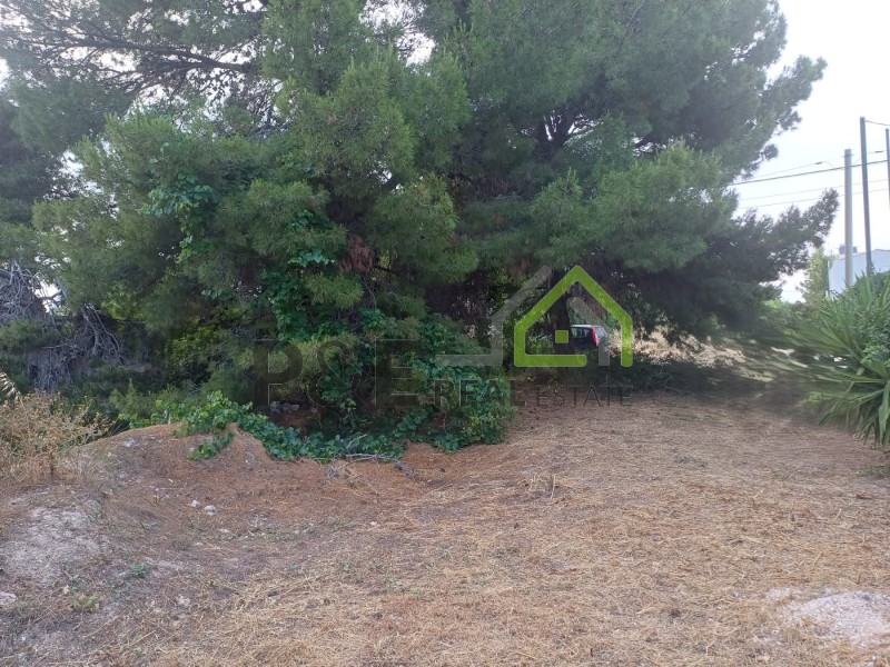 Οικόπεδο 660 τ.μ. πρός πώληση, Αθήνα - Ανατολικά Προάστια, Αρτέμιδα (λούτσα)