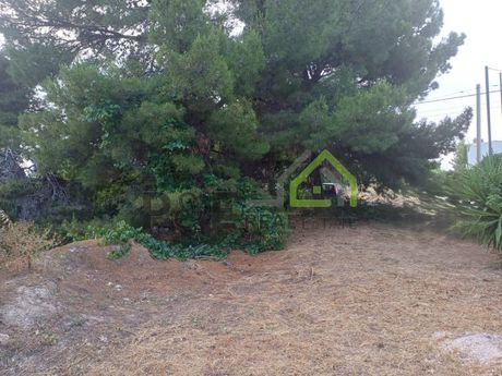 Οικόπεδο 660 τ.μ. πρός πώληση