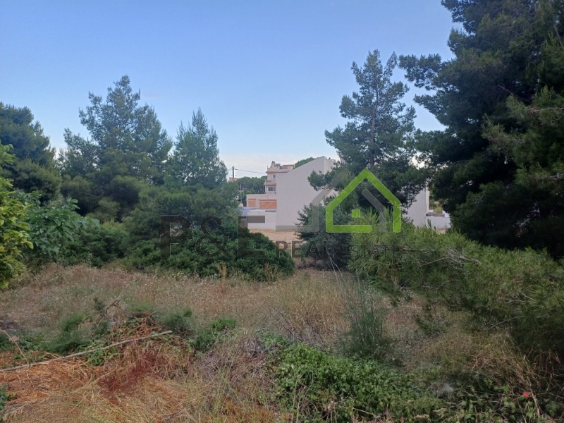 Οικόπεδο 660 τ.μ. πρός πώληση, Αθήνα - Ανατολικά Προάστια, Αρτέμιδα (λούτσα)