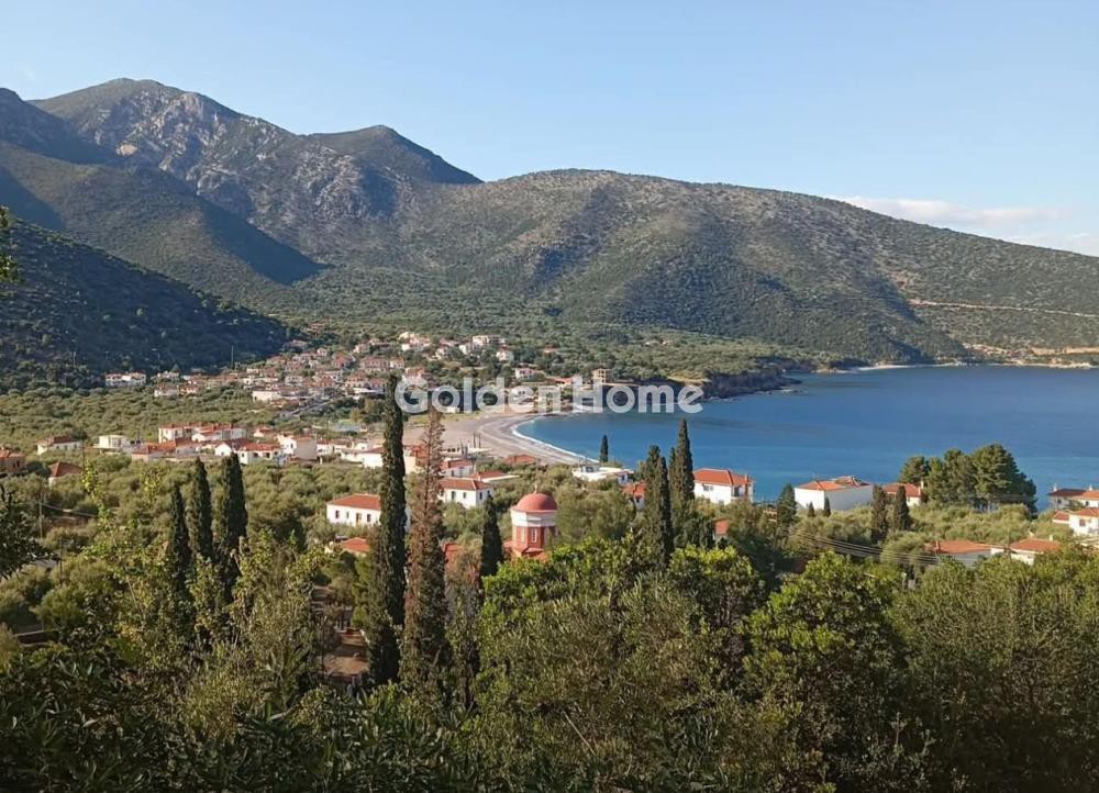 Οικόπεδο 4.725 τ.μ. προς πώληση, Μητρόπολη Ζάρακα