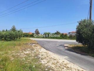 Οικόπεδο 11.000 τ.μ. για πώληση