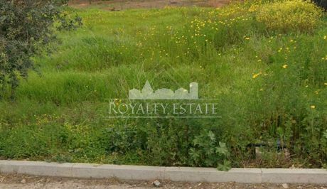 Οικόπεδο 1.321 τ.μ. πρός πώληση