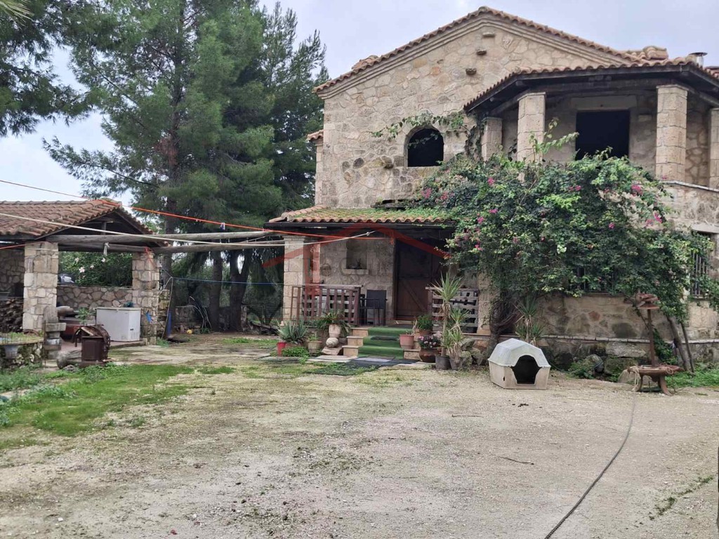 Μονοκατοικία 250 τ.μ. προς πώληση, Λιθακιά