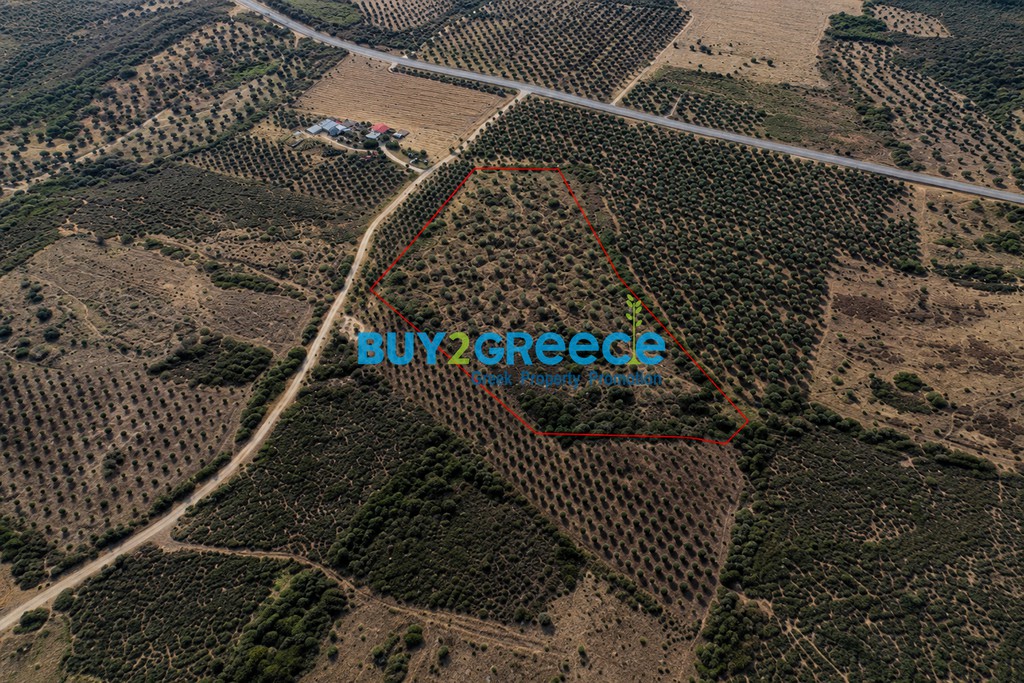 Οικόπεδο 20.815 τ.μ. προς πώληση, Πολύγυρος
