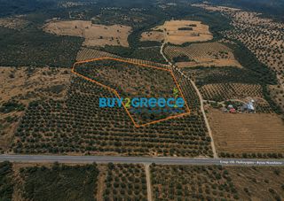 Οικόπεδο 20.815 τ.μ. για πώληση