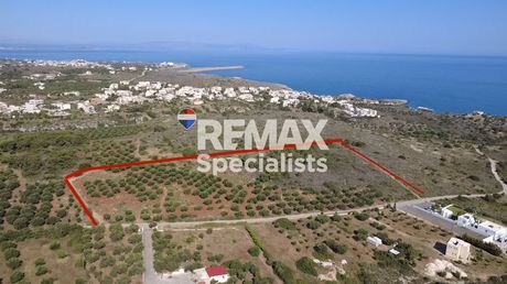 Οικόπεδο 46.500 τ.μ. προς πώληση