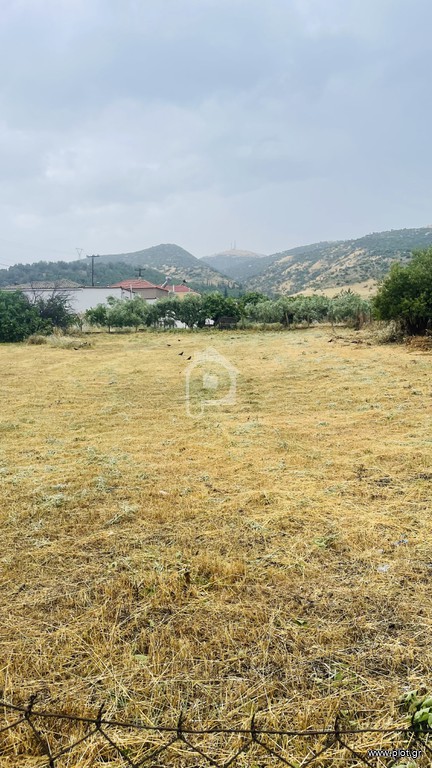 Οικόπεδο 1.200 τ.μ. προς πώληση, Μακρυχώρι Λάρισας