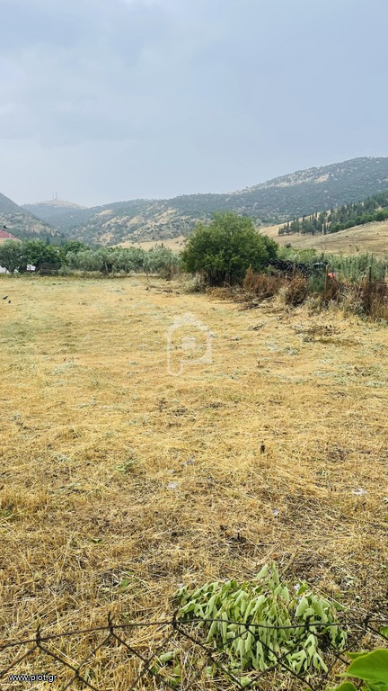Οικόπεδο 1.200 τ.μ. προς πώληση, Μακρυχώρι Λάρισας