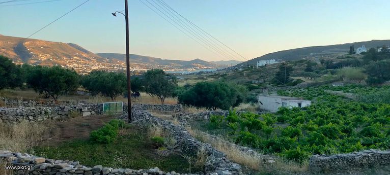Αγροτεμάχια 4.000 τ.μ. για πώληση, Κυκλάδες, Πάρος