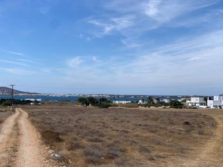 Αγροτεμάχια 7.000 τ.μ. για πώληση