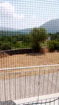 Αγροτεμάχια 65.000 τ.μ. προς ενοικίαση