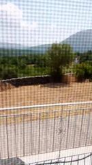 Αγροτεμάχια 65.000 τ.μ. για ενοικίαση