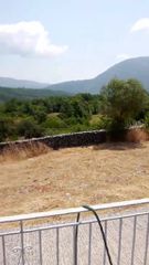 Αγροτεμάχια 65.000 τ.μ. πρός ενοικίαση, Ν. Ιωαννίνων, Δωδώνη-thumb-4