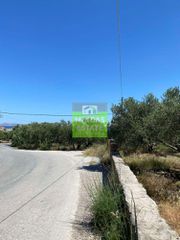 Οικόπεδο 1.300 τ.μ. για πώληση