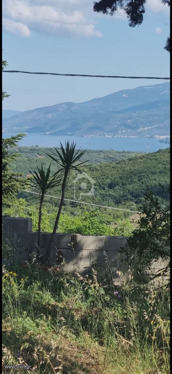 Οικόπεδο 340 τ.μ. πρός πώληση, Μαγνησία, Αργαλαστή