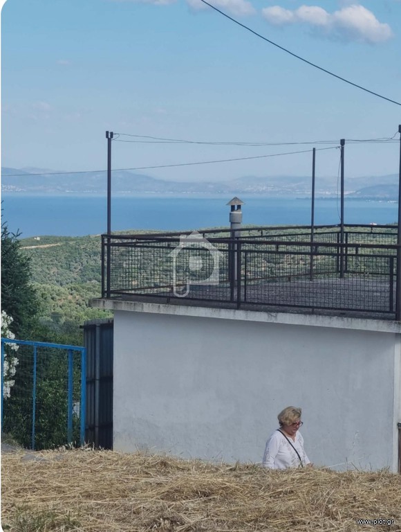 Οικόπεδο 340 τ.μ. πρός πώληση, Μαγνησία, Αργαλαστή