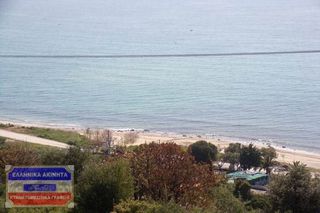 Αγροτεμάχια 7.375 τ.μ. για πώληση, Ν. Καβάλας, Ελευθερές-thumb-10