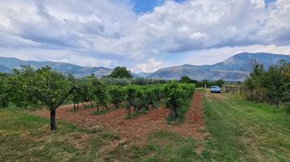 Φάρμα / ράντσο 7.750 τ.μ. για πώληση, Ν. Δράμας, Προσοτσάνη-thumb-67