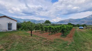 Φάρμα / ράντσο 7.750 τ.μ. για πώληση, Ν. Δράμας, Προσοτσάνη-thumb-68