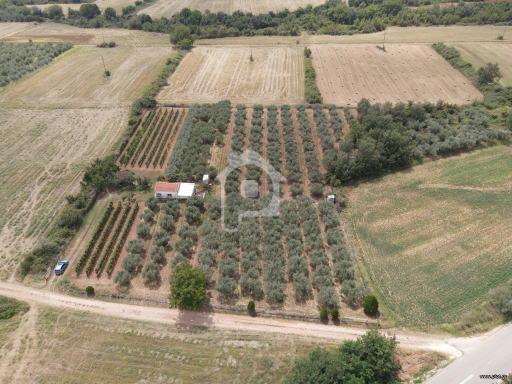 Φάρμα / ράντσο 7.750 τ.μ. πρός πώληση, Ν. Δράμας, Προσοτσάνη