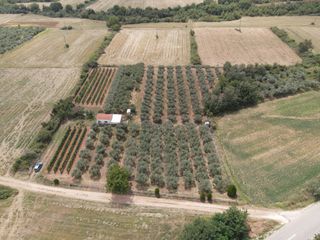 Φάρμα / ράντσο 7.750 τ.μ. για πώληση, Ν. Δράμας, Προσοτσάνη-thumb-1