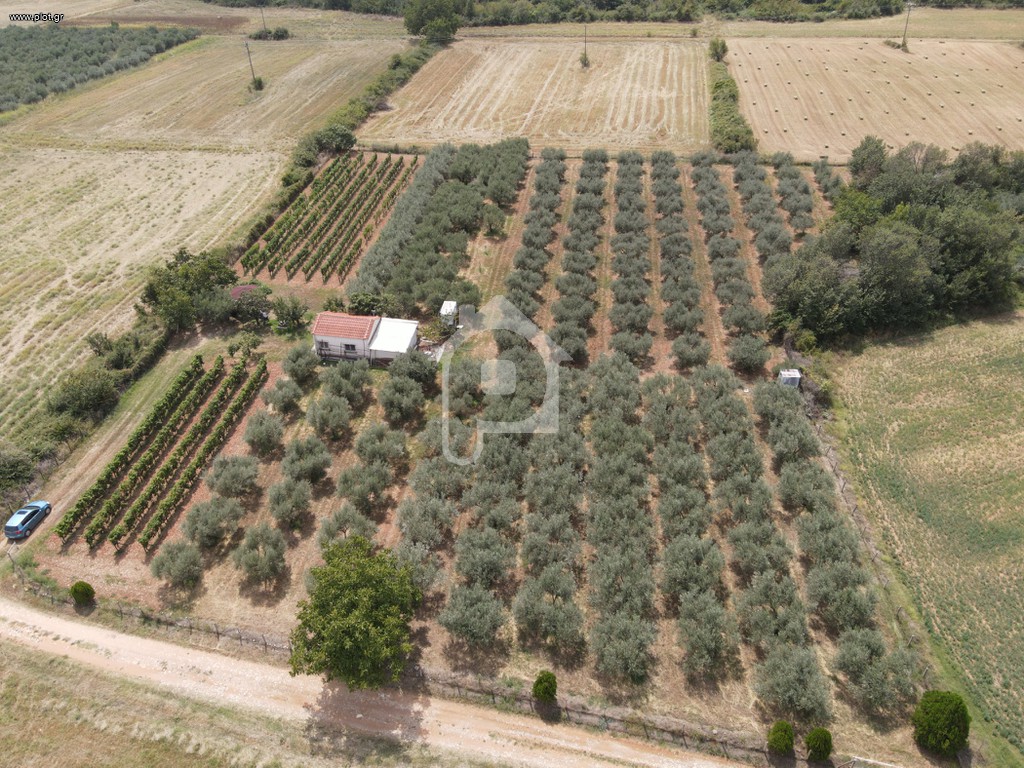 Φάρμα / ράντσο 7.750 τ.μ. πρός πώληση, Ν. Δράμας, Προσοτσάνη