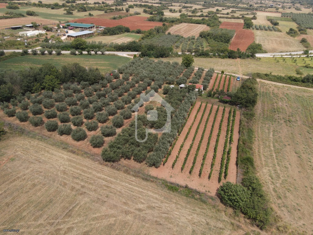 Φάρμα / ράντσο 7.750 τ.μ. πρός πώληση, Ν. Δράμας, Προσοτσάνη
