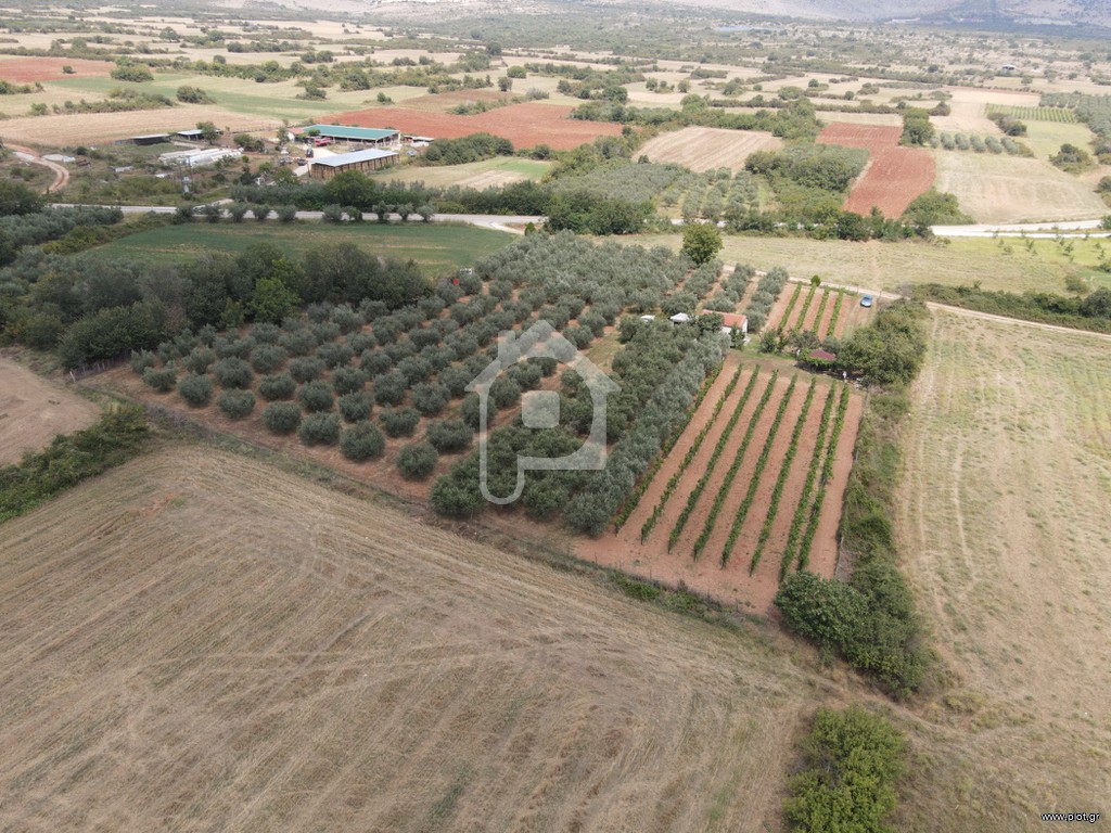 Φάρμα / ράντσο 7.750 τ.μ. πρός πώληση, Ν. Δράμας, Προσοτσάνη