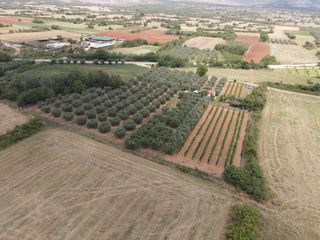 Φάρμα / ράντσο 7.750 τ.μ. για πώληση, Ν. Δράμας, Προσοτσάνη-thumb-4