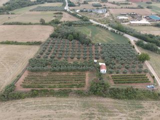 Φάρμα / ράντσο 7.750 τ.μ. για πώληση, Ν. Δράμας, Προσοτσάνη-thumb-5