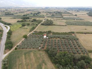 Φάρμα / ράντσο 7.750 τ.μ. για πώληση, Ν. Δράμας, Προσοτσάνη-thumb-6