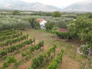 Φάρμα / ράντσο 7.750 τ.μ. για πώληση, Ν. Δράμας, Προσοτσάνη-thumb-9