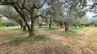 Φάρμα / ράντσο 7.750 τ.μ. για πώληση, Ν. Δράμας, Προσοτσάνη-thumb-44