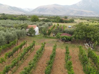 Φάρμα / ράντσο 7.750 τ.μ. για πώληση, Ν. Δράμας, Προσοτσάνη-thumb-10