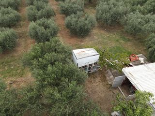 Φάρμα / ράντσο 7.750 τ.μ. για πώληση, Ν. Δράμας, Προσοτσάνη-thumb-11