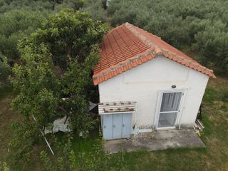 Φάρμα / ράντσο 7.750 τ.μ. για πώληση, Ν. Δράμας, Προσοτσάνη-thumb-14