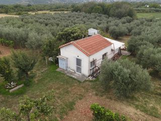Φάρμα / ράντσο 7.750 τ.μ. για πώληση, Ν. Δράμας, Προσοτσάνη-thumb-15