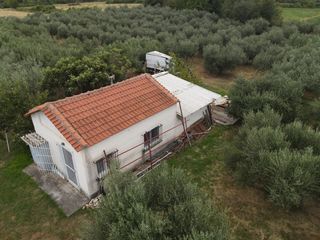 Φάρμα / ράντσο 7.750 τ.μ. για πώληση, Ν. Δράμας, Προσοτσάνη-thumb-16