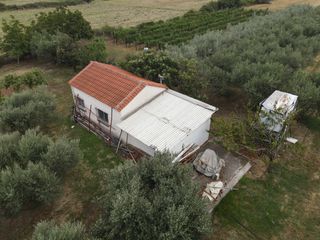 Φάρμα / ράντσο 7.750 τ.μ. για πώληση, Ν. Δράμας, Προσοτσάνη-thumb-17