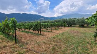 Φάρμα / ράντσο 7.750 τ.μ. για πώληση, Ν. Δράμας, Προσοτσάνη-thumb-25