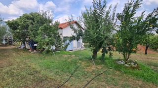 Φάρμα / ράντσο 7.750 τ.μ. για πώληση, Ν. Δράμας, Προσοτσάνη-thumb-26