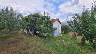 Φάρμα / ράντσο 7.750 τ.μ. για πώληση, Ν. Δράμας, Προσοτσάνη-thumb-30